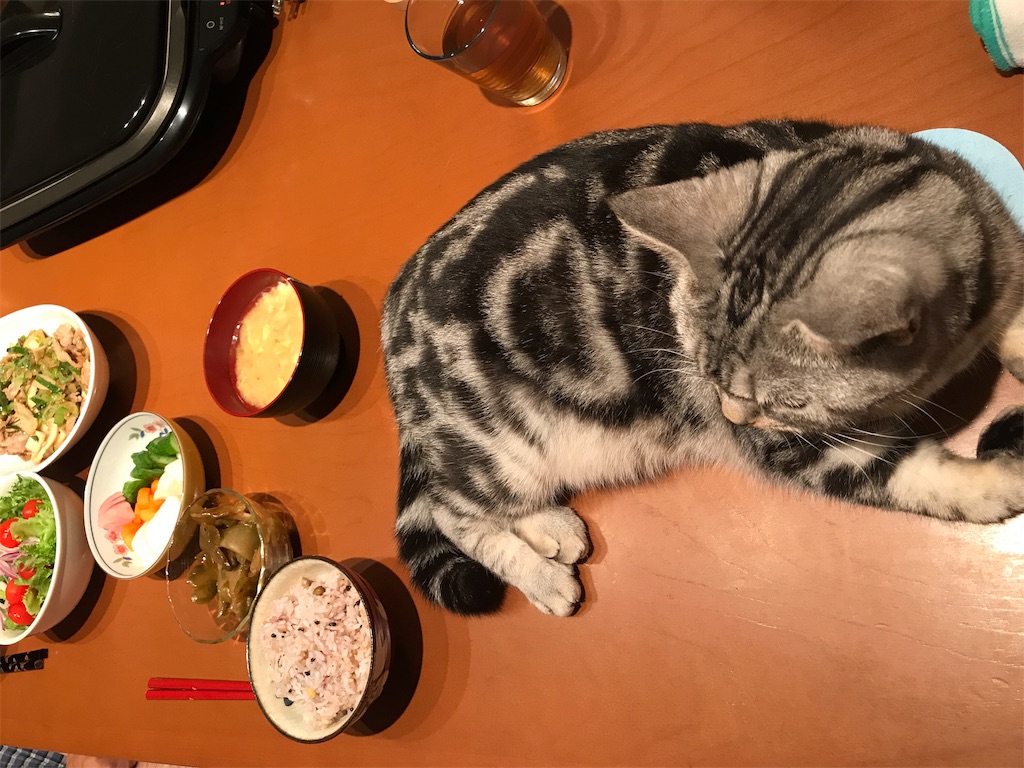 f:id:tsukky8832534:20181017231628j:image