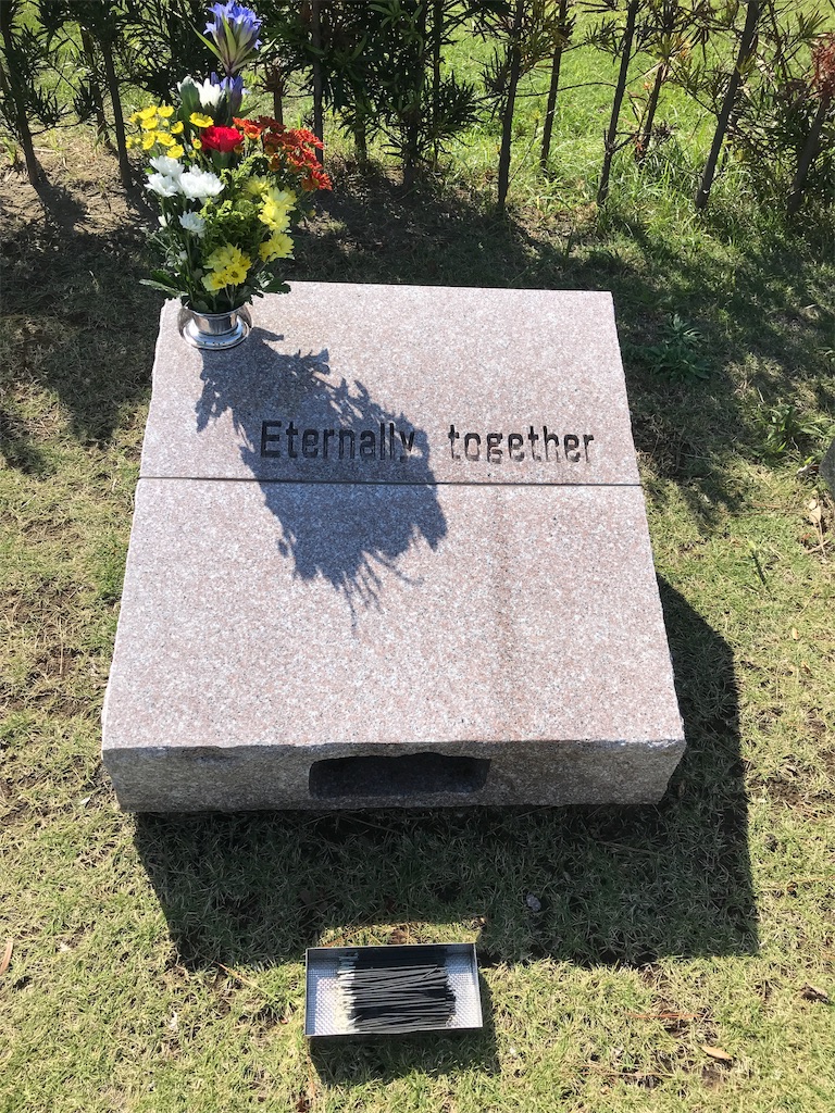 f:id:tsukky8832534:20181022001344j:image f:id:tsukky8832534:20181022001344j:image