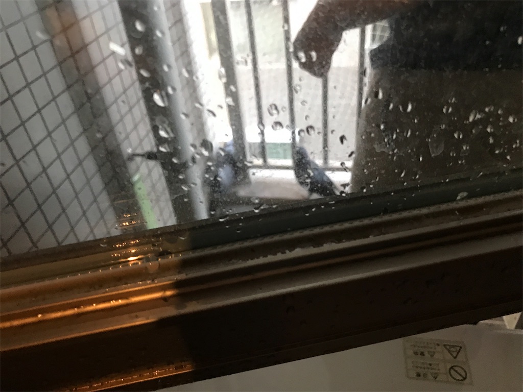 f:id:tsukky8832534:20181023001436j:image f:id:tsukky8832534:20181023001436j:image