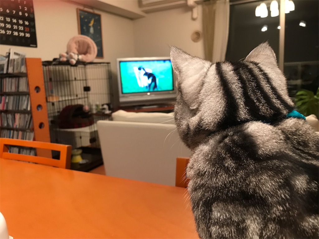 f:id:tsukky8832534:20181122003036j:image f:id:tsukky8832534:20181122003036j:image