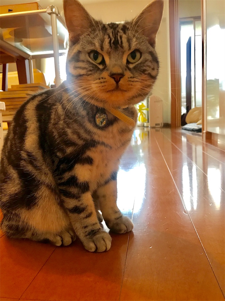 f:id:tsukky8832534:20181202225850j:image f:id:tsukky8832534:20181202225850j:image