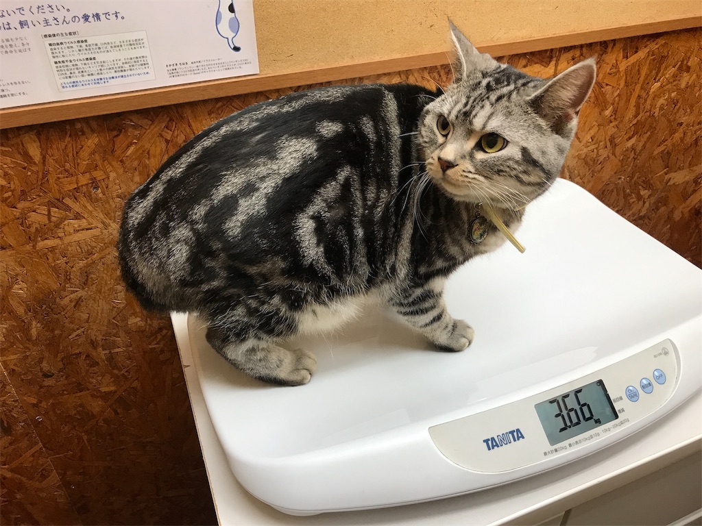 f:id:tsukky8832534:20181210002059j:image f:id:tsukky8832534:20181210002059j:image