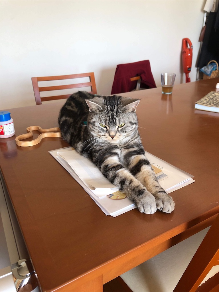 f:id:tsukky8832534:20181214233647j:image