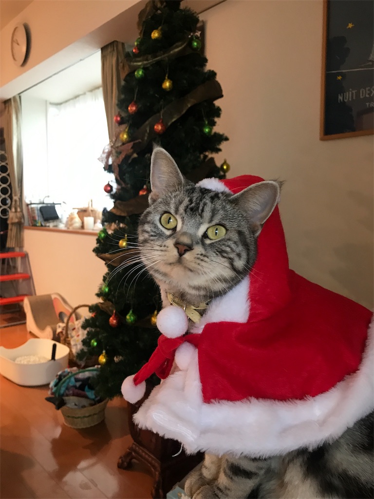 f:id:tsukky8832534:20181223082936j:image f:id:tsukky8832534:20181223082936j:image