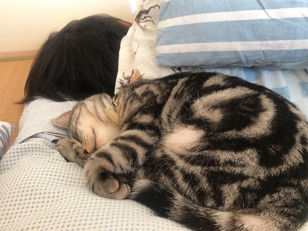 f:id:tsukky8832534:20181225064041j:image f:id:tsukky8832534:20181225064041j:image