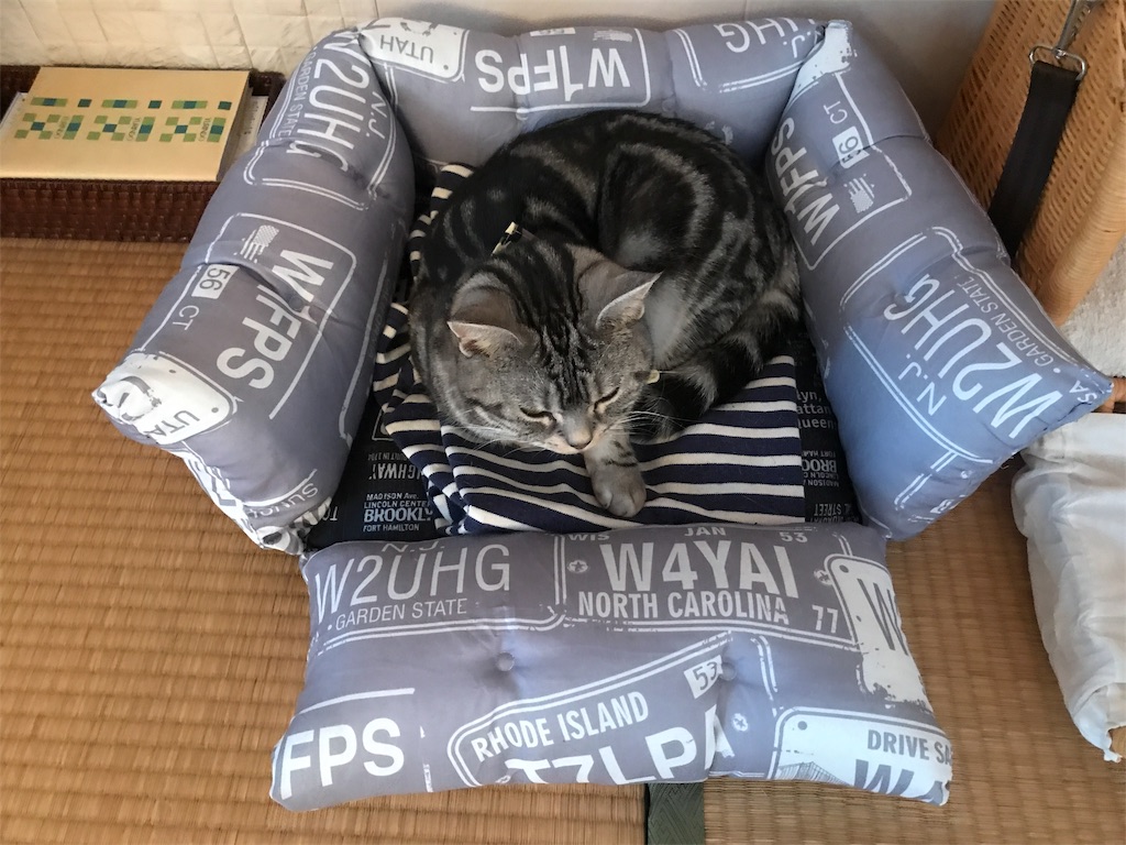 f:id:tsukky8832534:20181226061912j:image f:id:tsukky8832534:20181226061912j:image