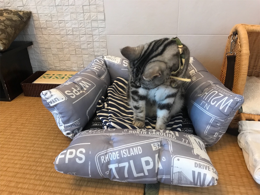 f:id:tsukky8832534:20181226061920j:image f:id:tsukky8832534:20181226061920j:image