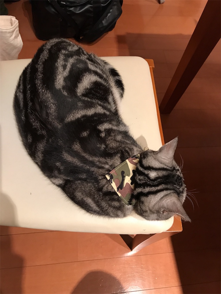 f:id:tsukky8832534:20190119084217j:image