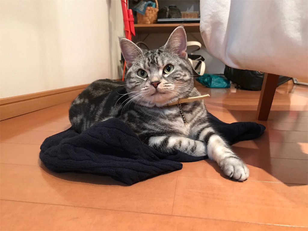 f:id:tsukky8832534:20190119084835j:image