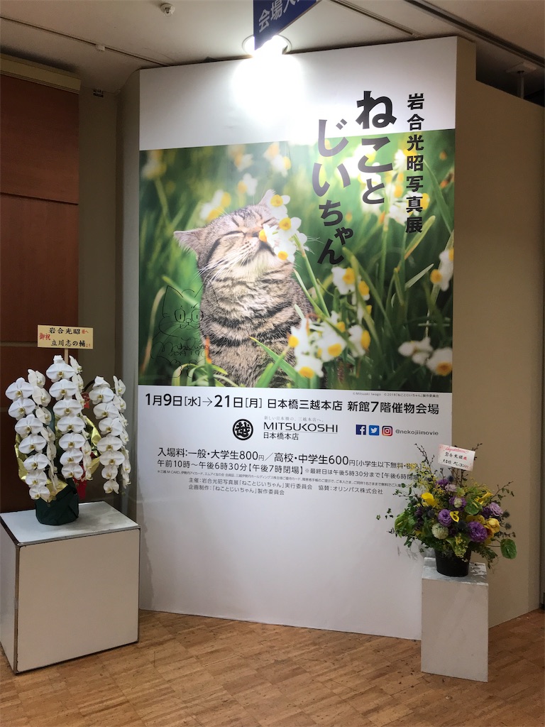 f:id:tsukky8832534:20190120073337j:image