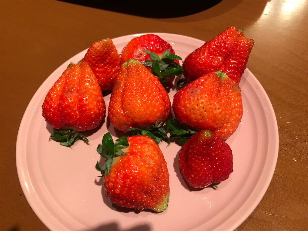 f:id:tsukky8832534:20190127215843j:image