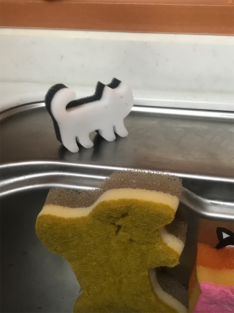 f:id:tsukky8832534:20190130082922j:image f:id:tsukky8832534:20190130082922j:image