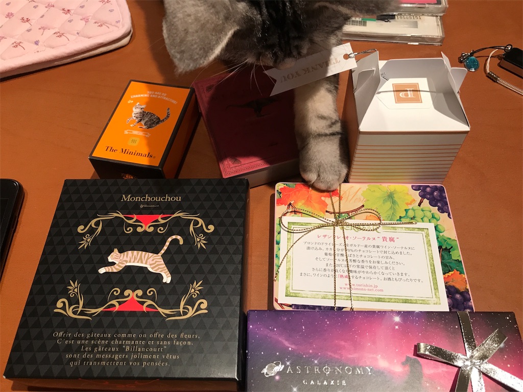 f:id:tsukky8832534:20190215063253j:image f:id:tsukky8832534:20190215063253j:image