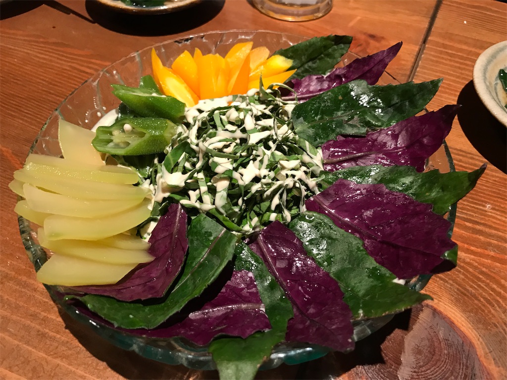 f:id:tsukky8832534:20190219082449j:image