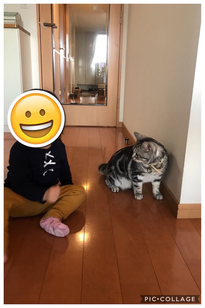 f:id:tsukky8832534:20190225080720j:image f:id:tsukky8832534:20190225080720j:image