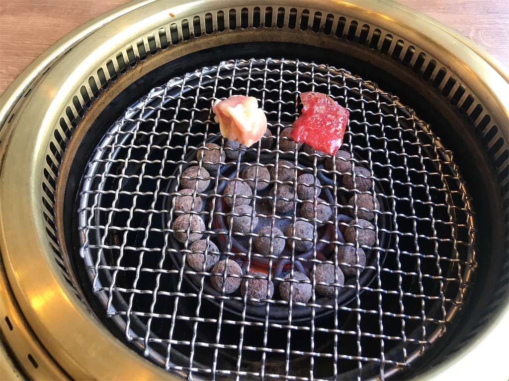 f:id:tsukky8832534:20190310105329j:image