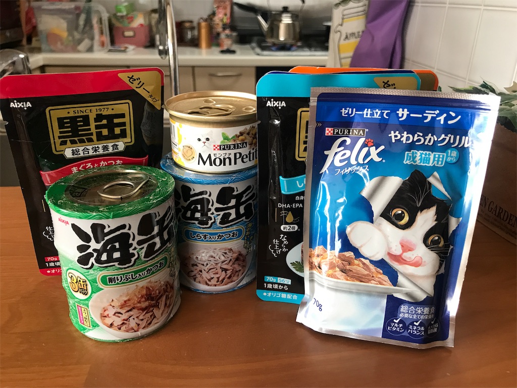 f:id:tsukky8832534:20190310105419j:image