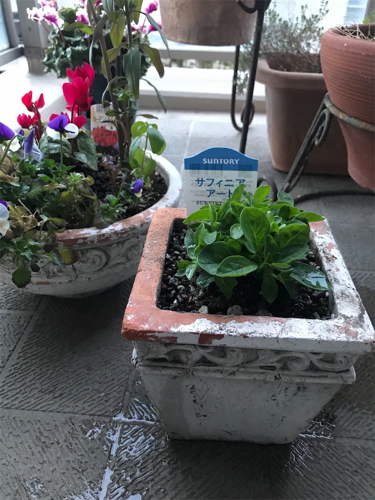 f:id:tsukky8832534:20190323195255j:image