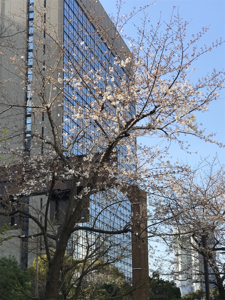 f:id:tsukky8832534:20190327120938j:image