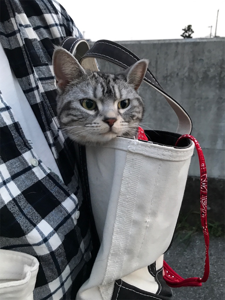 f:id:tsukky8832534:20190411083548j:image f:id:tsukky8832534:20190411083548j:image