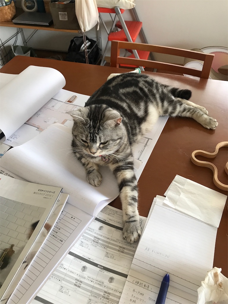 f:id:tsukky8832534:20190526133616j:image f:id:tsukky8832534:20190526133616j:image