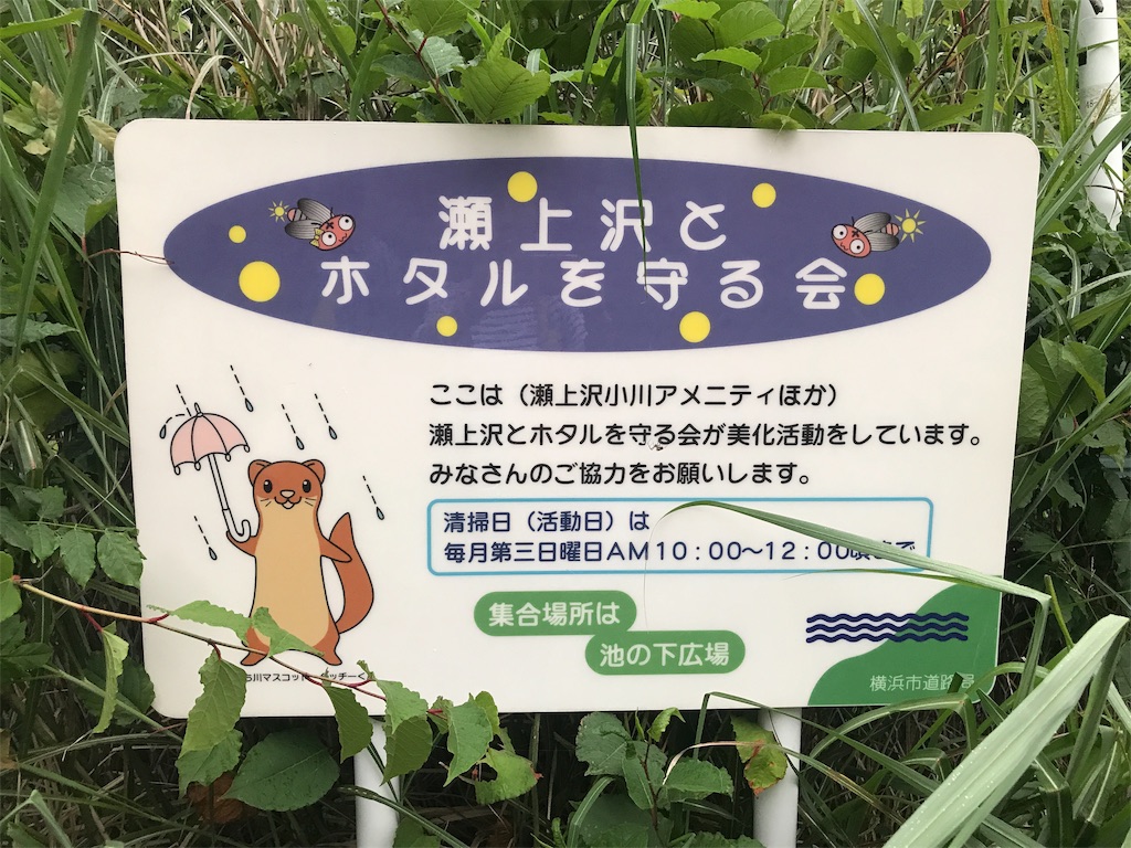 f:id:tsukky8832534:20190610003134j:image