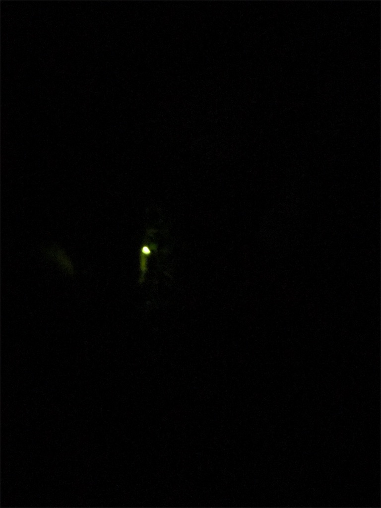 f:id:tsukky8832534:20190610003138j:image