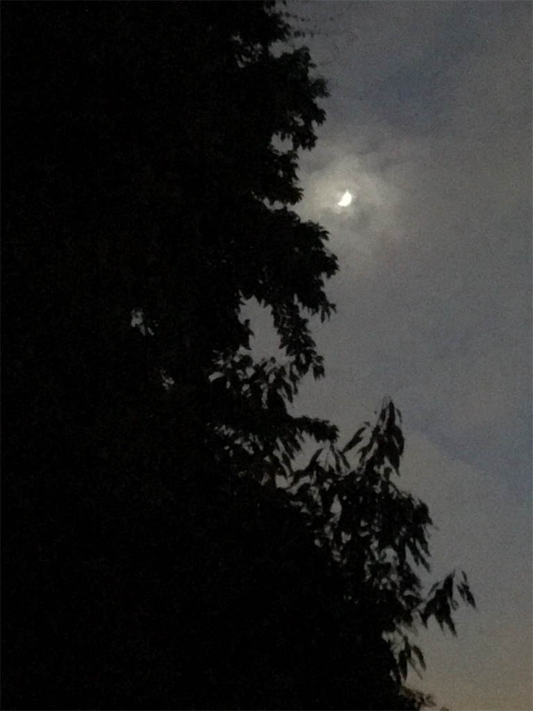 f:id:tsukky8832534:20190610003142j:image