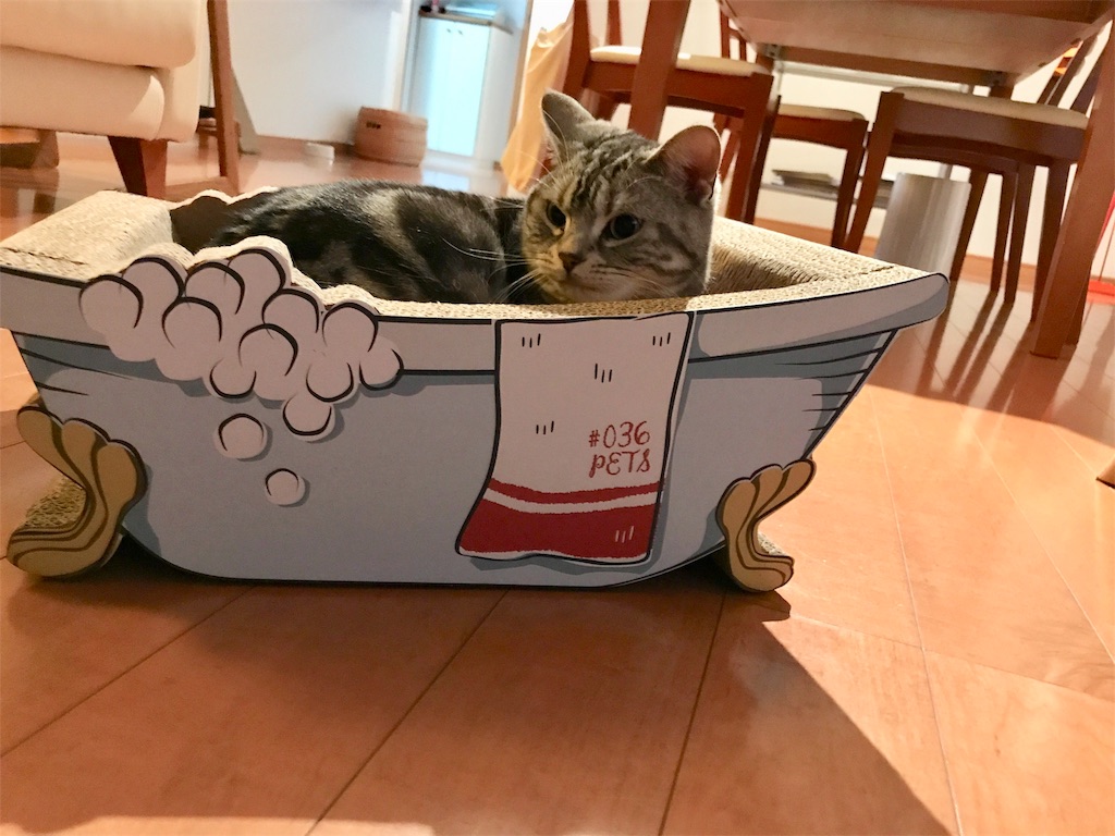 f:id:tsukky8832534:20190618162746j:image f:id:tsukky8832534:20190618162746j:image