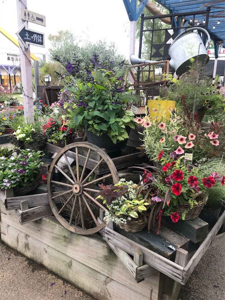 f:id:tsukky8832534:20190623234541j:image