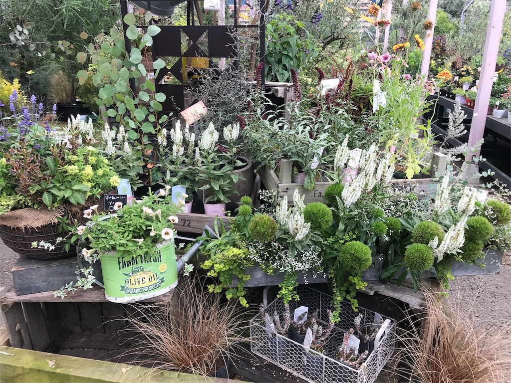 f:id:tsukky8832534:20190623234545j:image