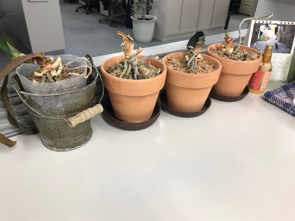 f:id:tsukky8832534:20190702203604j:image