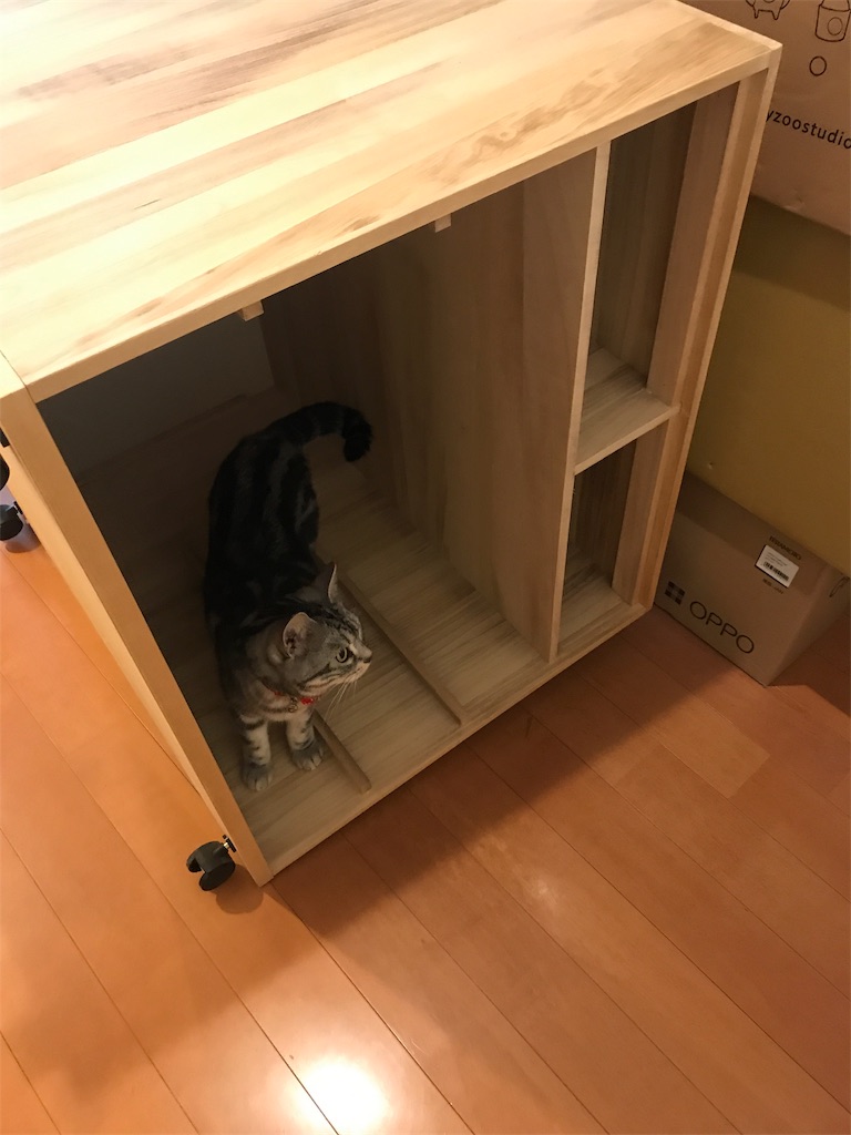 f:id:tsukky8832534:20190711232438j:image