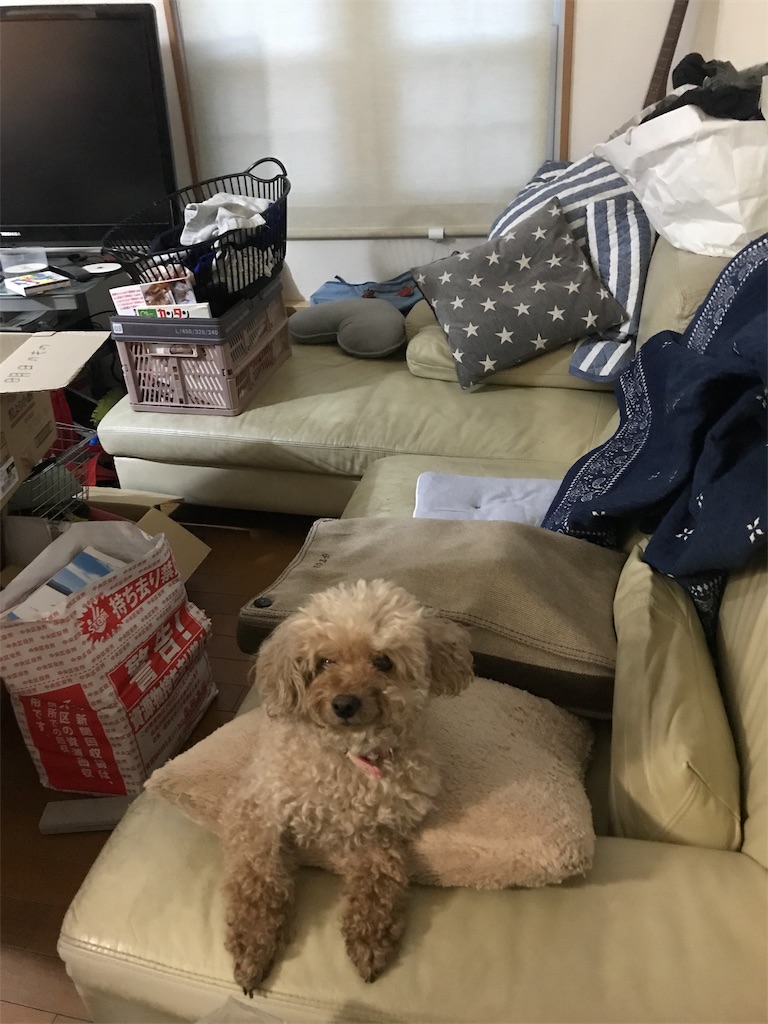 f:id:tsukky8832534:20190813181755j:image f:id:tsukky8832534:20190813181755j:image