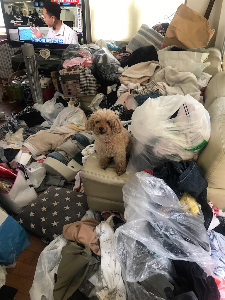 f:id:tsukky8832534:20190813181807j:image f:id:tsukky8832534:20190813181807j:image