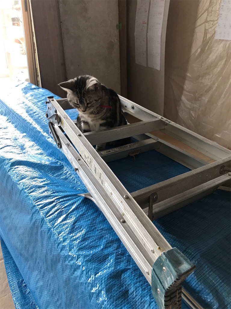 f:id:tsukky8832534:20190817223229j:image f:id:tsukky8832534:20190817223229j:image