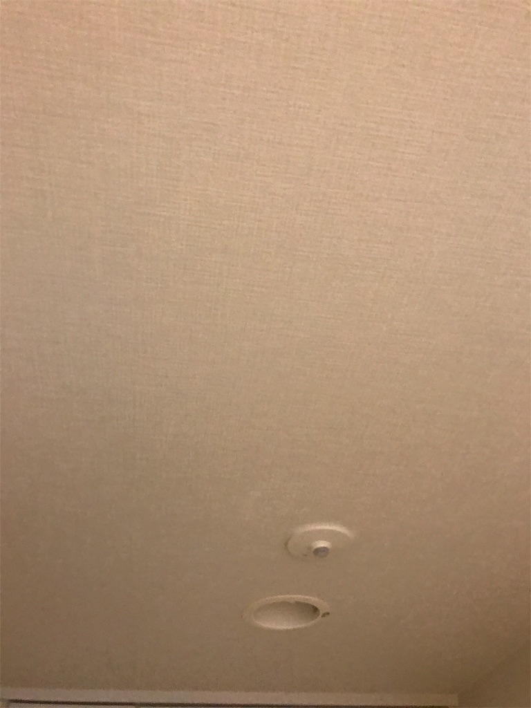 f:id:tsukky8832534:20190911160940j:image