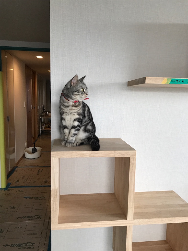 f:id:tsukky8832534:20190914090315j:image