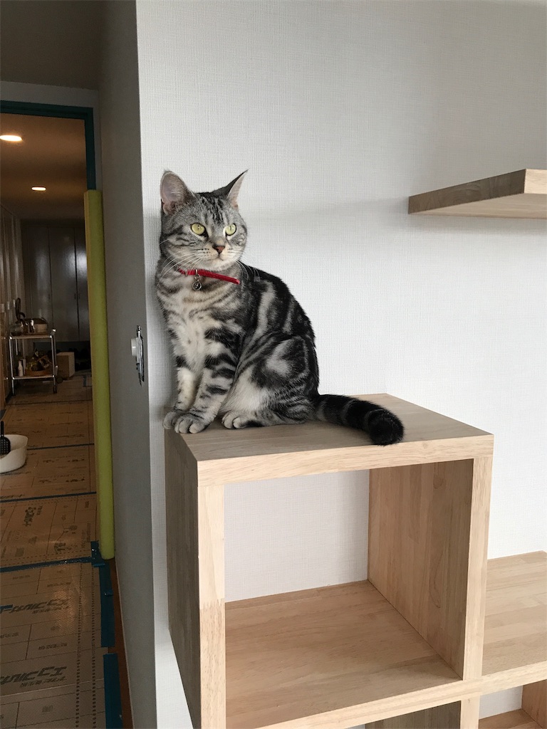 f:id:tsukky8832534:20190914090332j:image