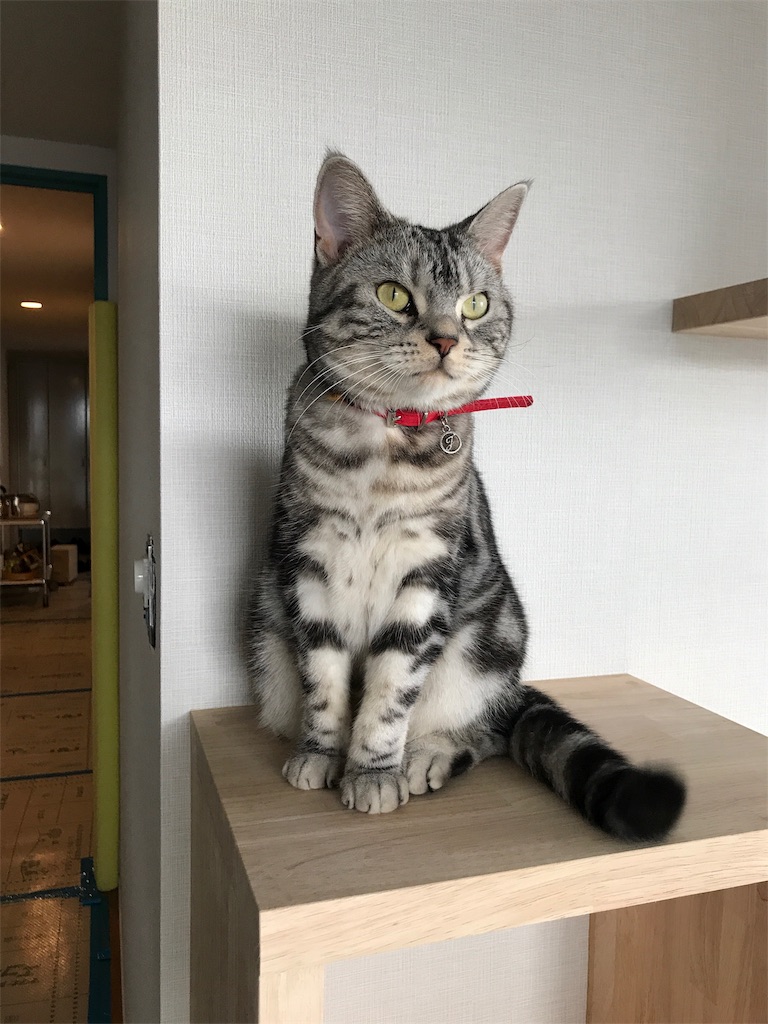 f:id:tsukky8832534:20190914090347j:image