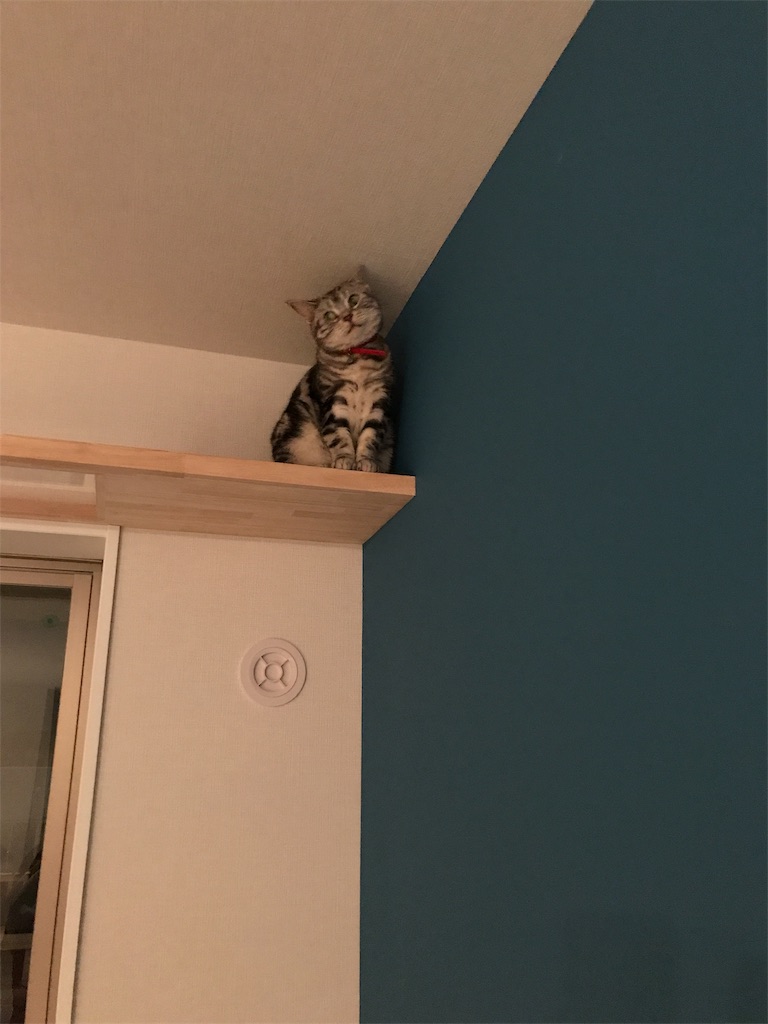 f:id:tsukky8832534:20190920010654j:image f:id:tsukky8832534:20190920010654j:image