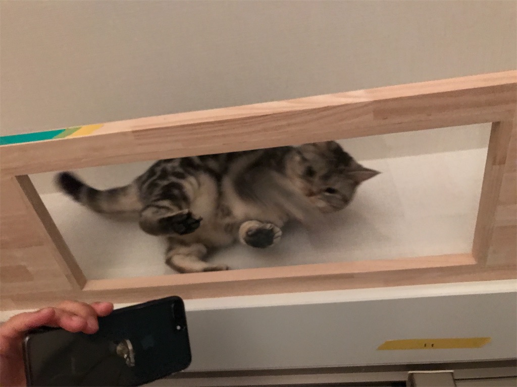 f:id:tsukky8832534:20190920010712j:image f:id:tsukky8832534:20190920010712j:image