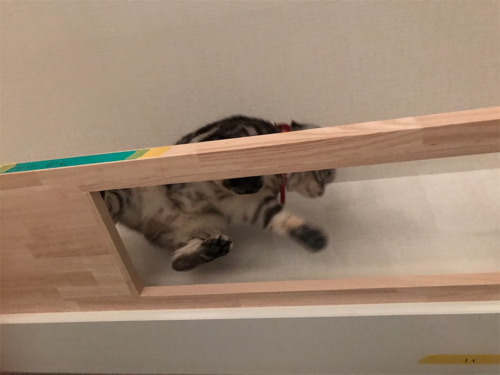 f:id:tsukky8832534:20190920010715j:image f:id:tsukky8832534:20190920010715j:image