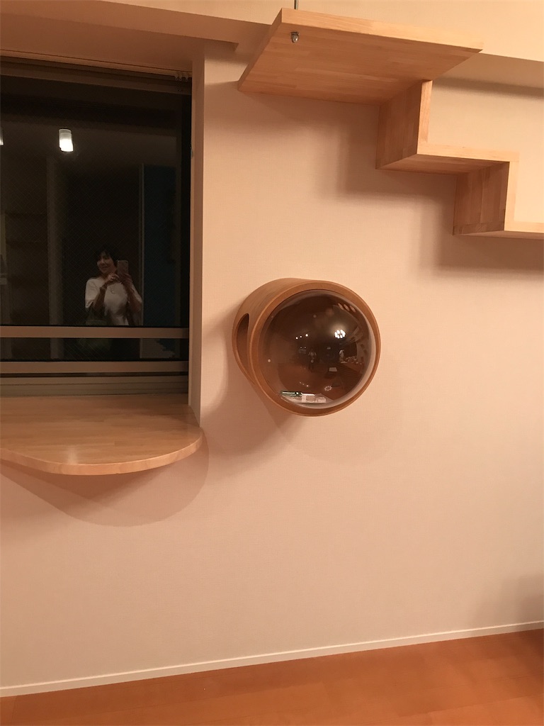 f:id:tsukky8832534:20190926021524j:image f:id:tsukky8832534:20190926021524j:image