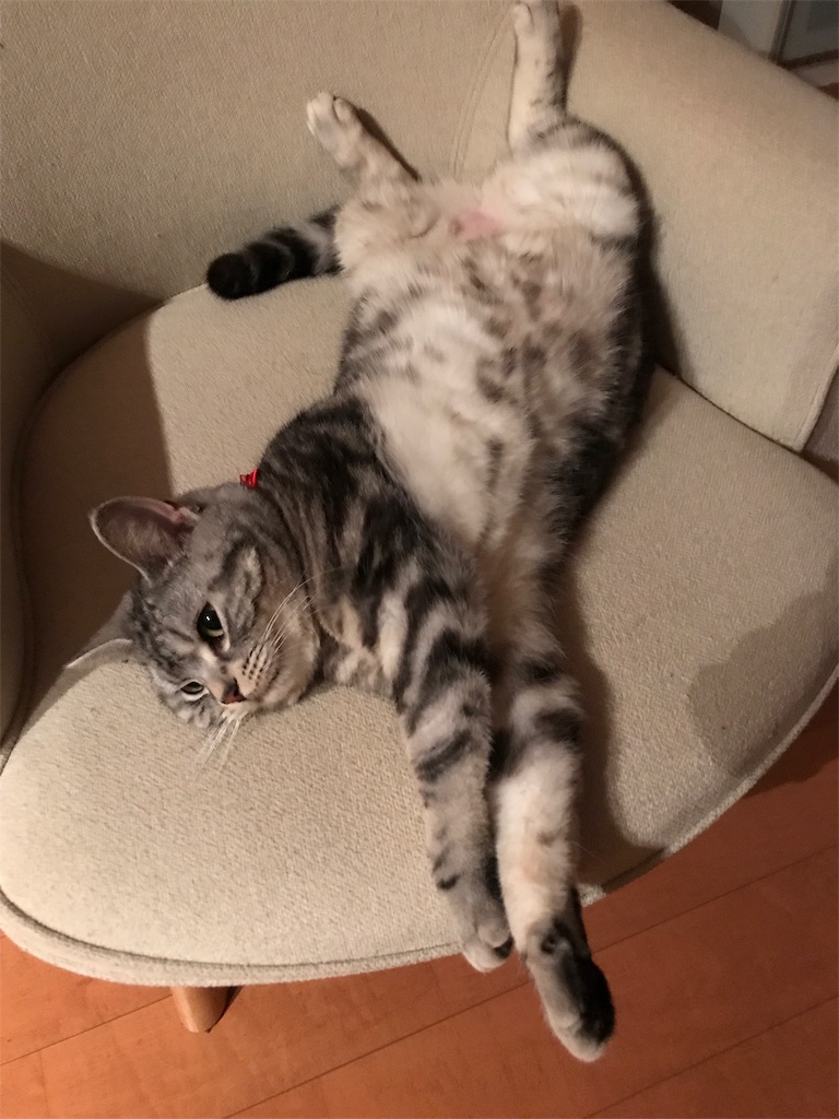 f:id:tsukky8832534:20191029001214j:image