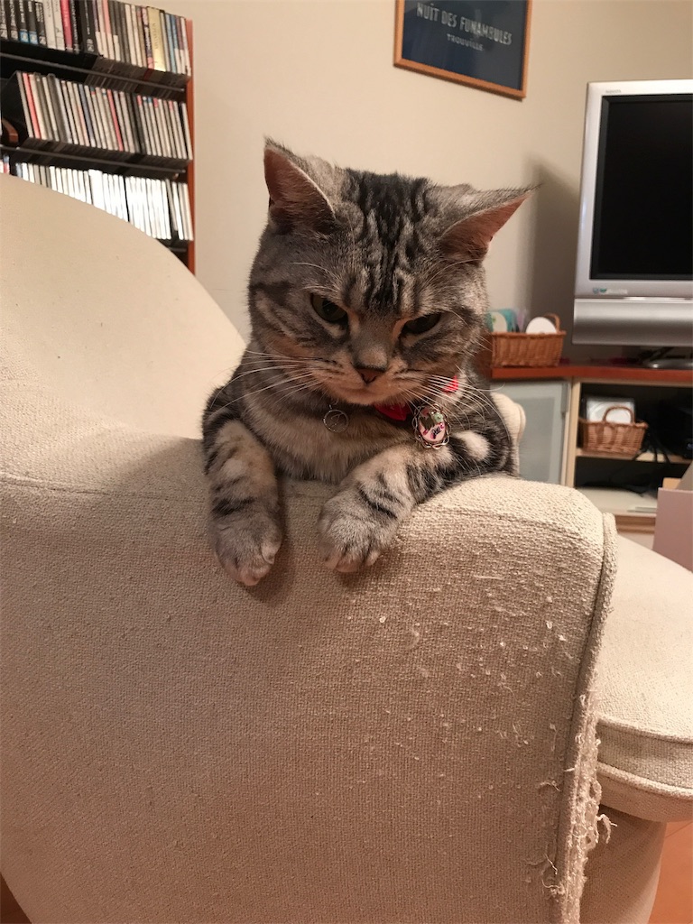 f:id:tsukky8832534:20191029001218j:image