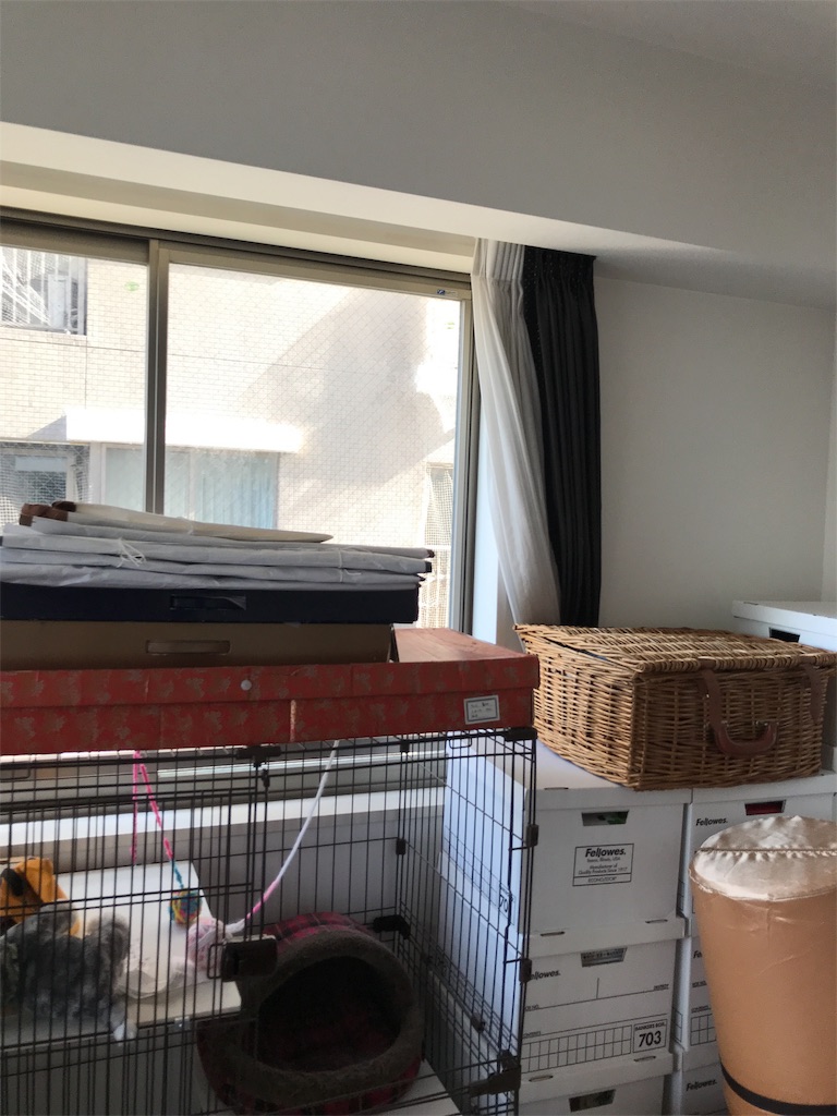 f:id:tsukky8832534:20191029001401j:image