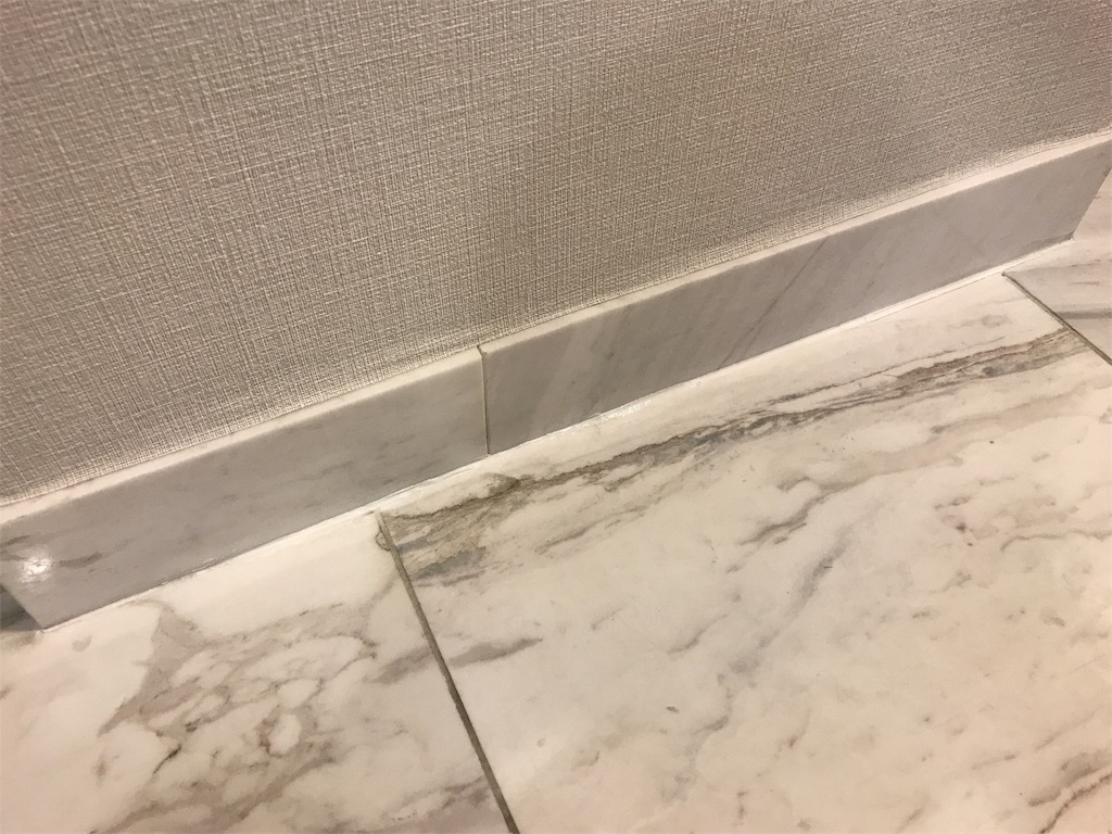 f:id:tsukky8832534:20191202004817j:image f:id:tsukky8832534:20191202004817j:image