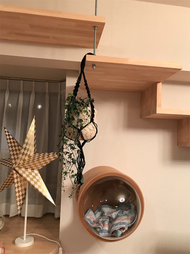 f:id:tsukky8832534:20191229001145j:image