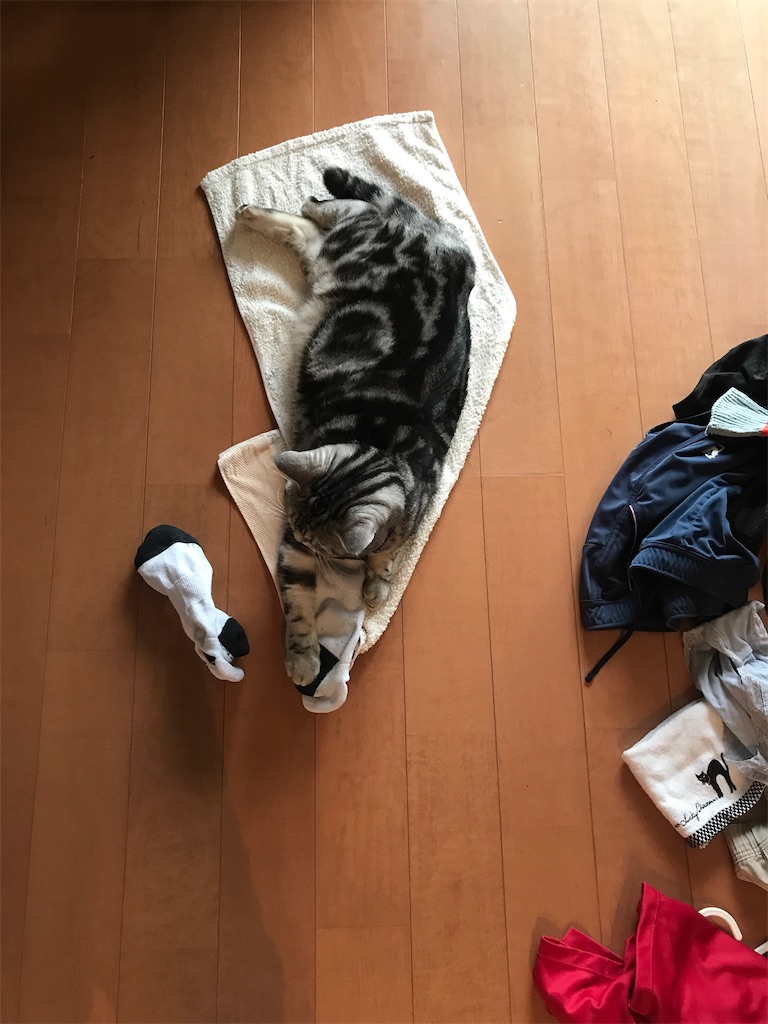 f:id:tsukky8832534:20191231010012j:image f:id:tsukky8832534:20191231010012j:image